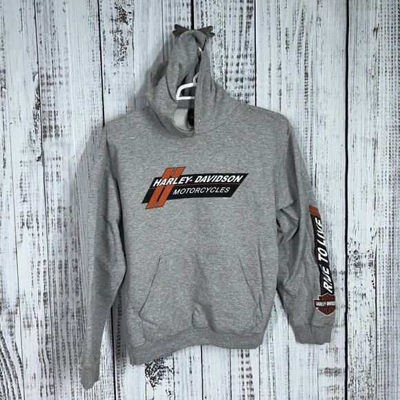Lot of 4 Harley Davidson Mens Hoodies Sweatshirts Size L Motorcycle Biker Y2K - Picture 4 of 9